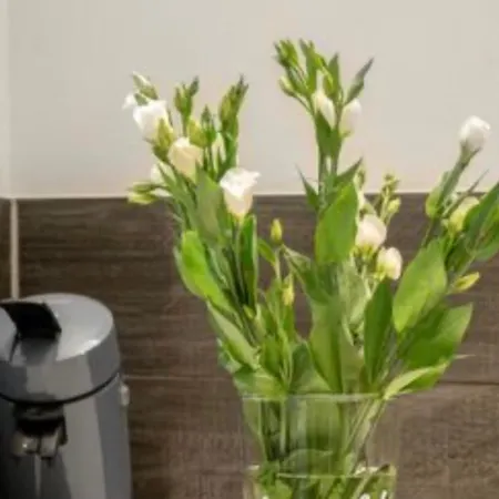 Be My Guest In Daire